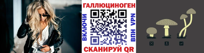 Псилоцибиновые грибы MAGIC MUSHROOMS  наркошоп  Каменногорск 
