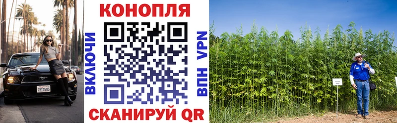 мориарти какой сайт Каменногорск Каннабис Amnesia