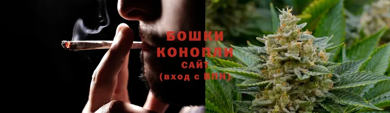 купить   Каменногорск  Конопля OG Kush 